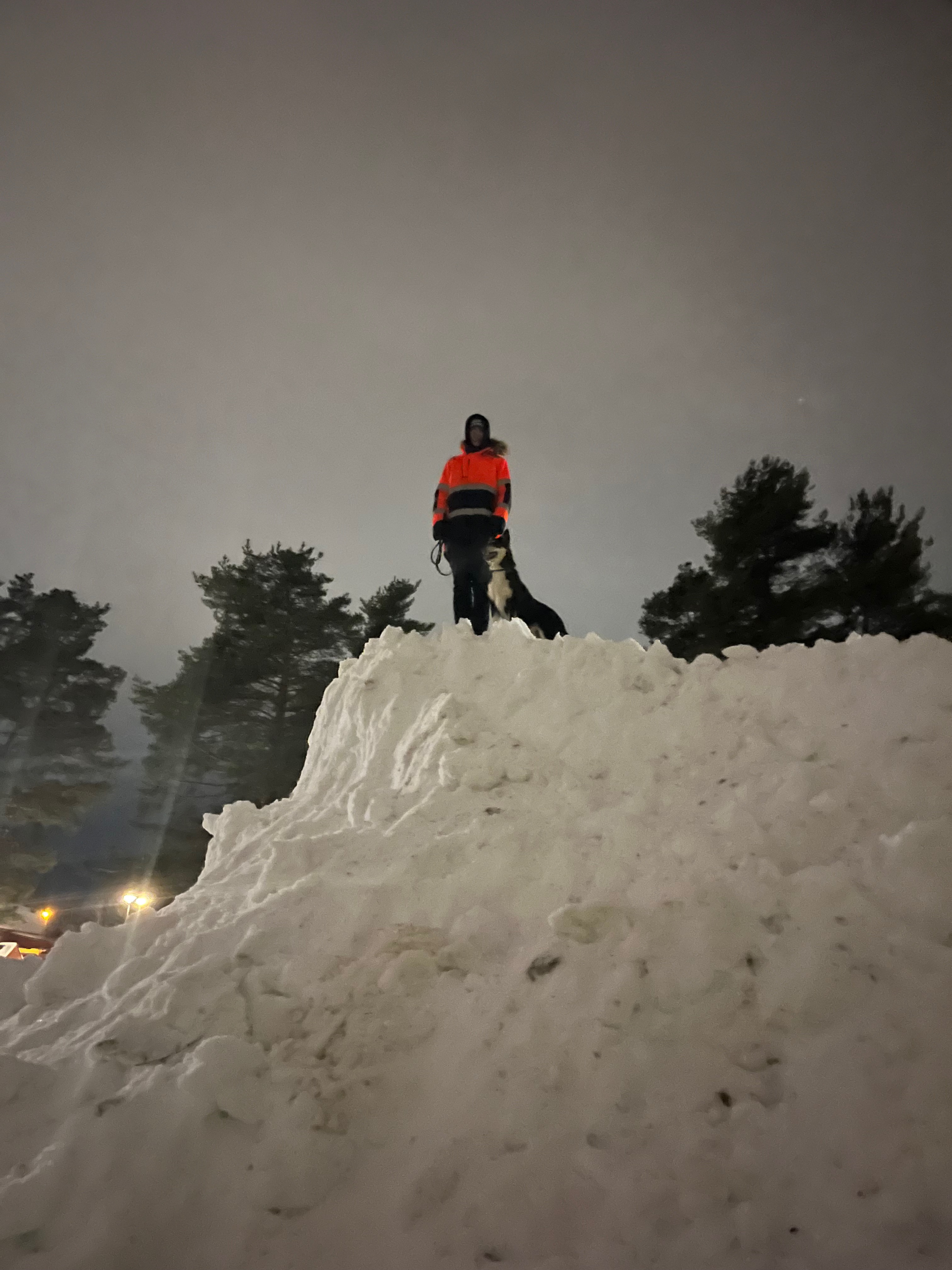 Gubbe i snohog