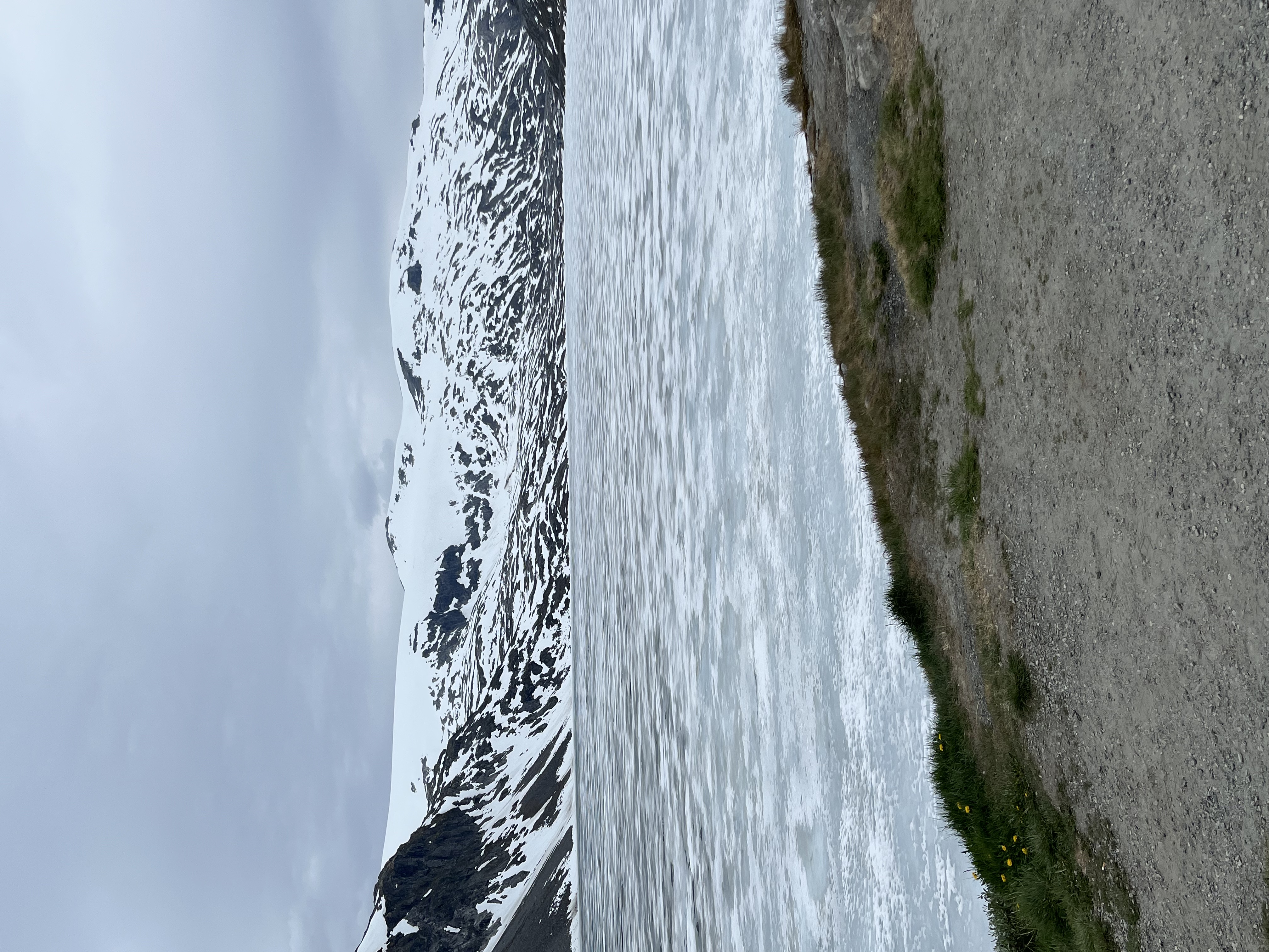 berg2