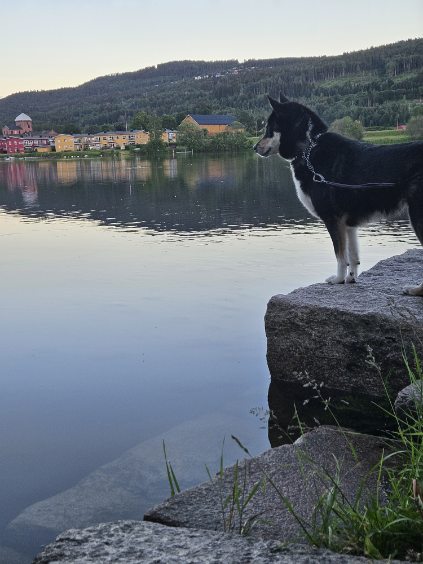 Drammen camping