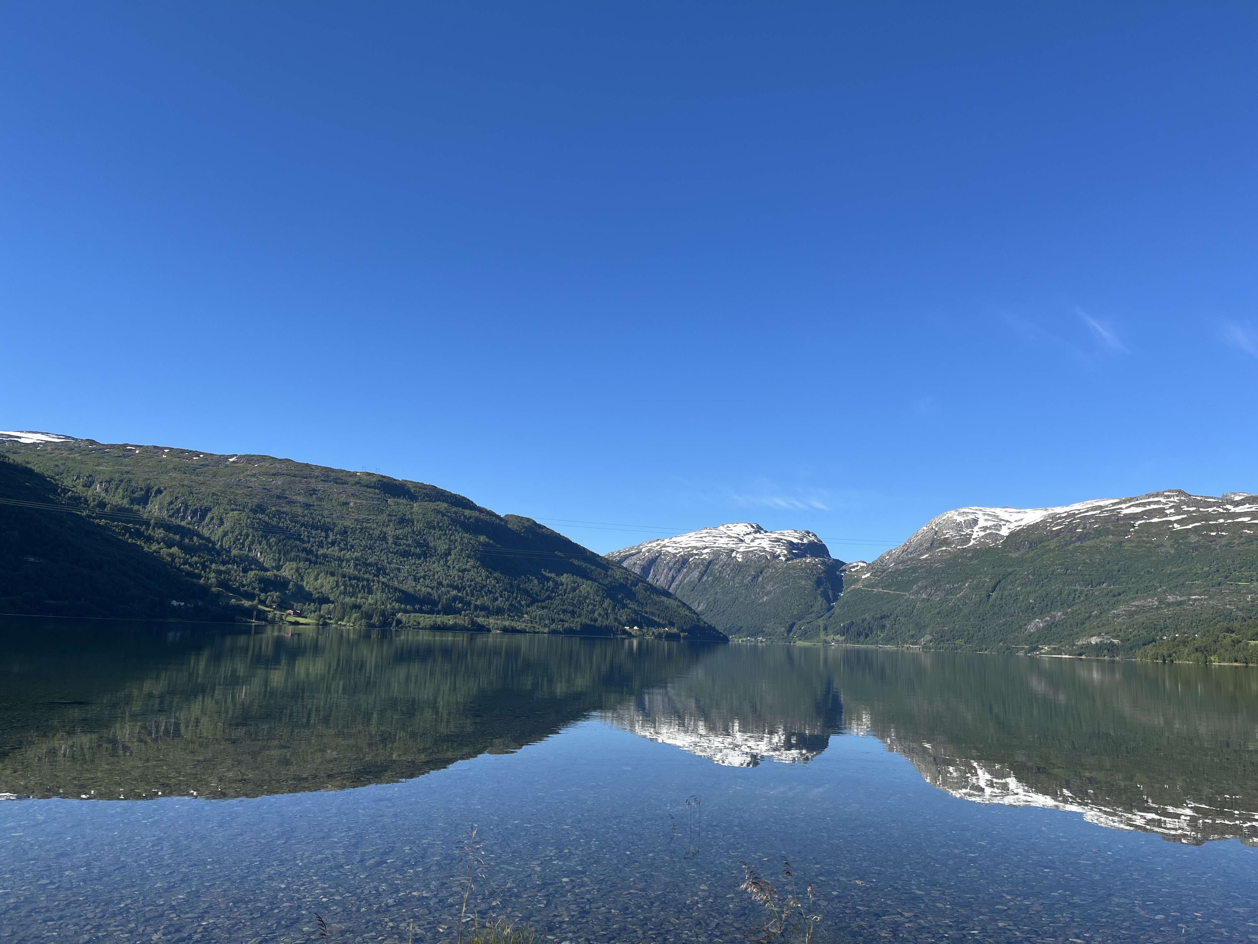 Morgon promenad
